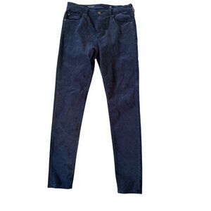 ADRIANO GOLDSCHMIED Farah Blue Velvet High Rise Skinny Pants Size 30